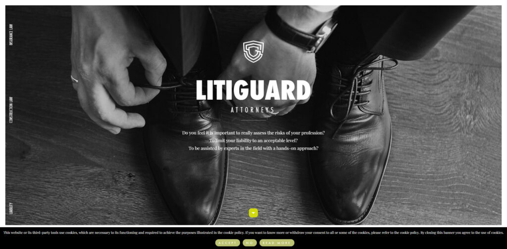 Litiguard Attorneys