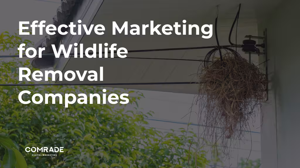 Effective-Marketing-for-Wildlife-Removal-Companies_-Strategies-to-Boost-Your-Reach